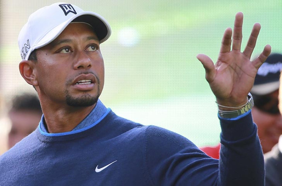 Tiger woods cablinasian ethnicity