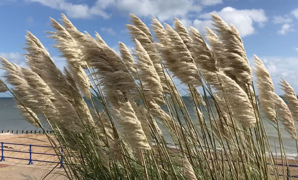 Nature's creative art, driven by wind, water, spirit